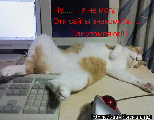 Котоматрица: Ну........ я не могу........ Эти сайты знакомств...... Так утомляют!!!