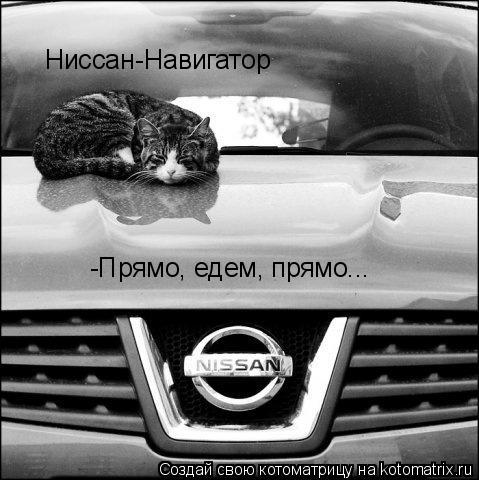 Котоматрица: Ниссан-Навигатор -Прямо, едем, прямо...