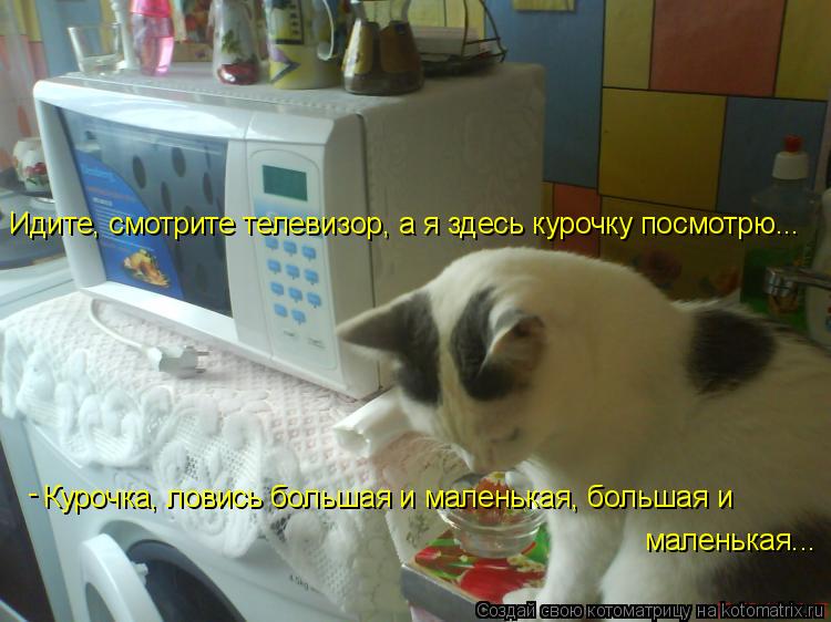 Котоматрица: Идите, смотрите телевизор, а я здесь курочку посмотрю... Курочка, ловись большая и маленькая, большая и  маленькая... -