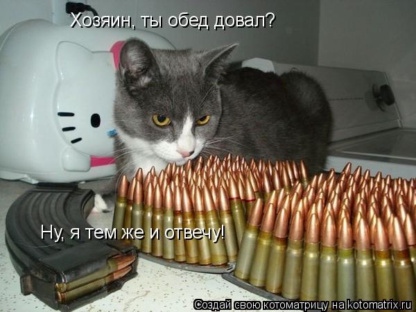 Котоматрица: Хозяин, ты обед довал? Ну, я тем же и отвечу!