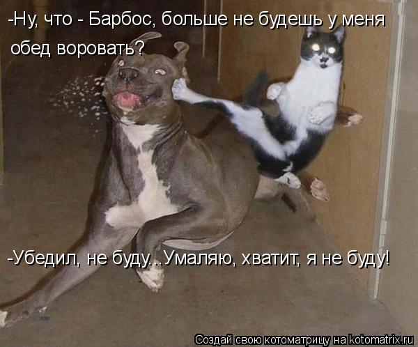 -Ну, что - Барбос, больше не будешь у меня обед воровать? -Убедил, не буду...Умаляю, хватит, я не буд... Котоматрица: -Ну, что - Барбос, больше не будешь у меня обед воровать? -Убедил, не буду...Умаляю, хватит, я не буду!