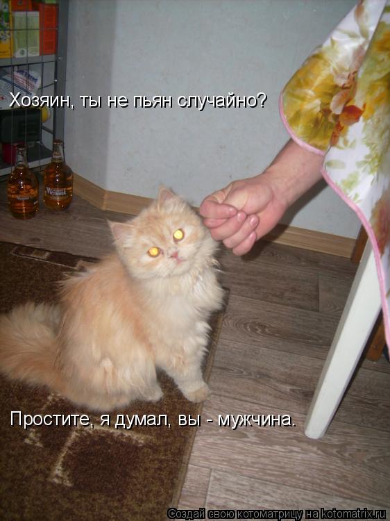 Хозяин, ты не пьян случайно? Простите, я думал, вы - мужчина.... Котоматрица: Хозяин, ты не пьян случайно? Простите, я думал, вы - мужчина.