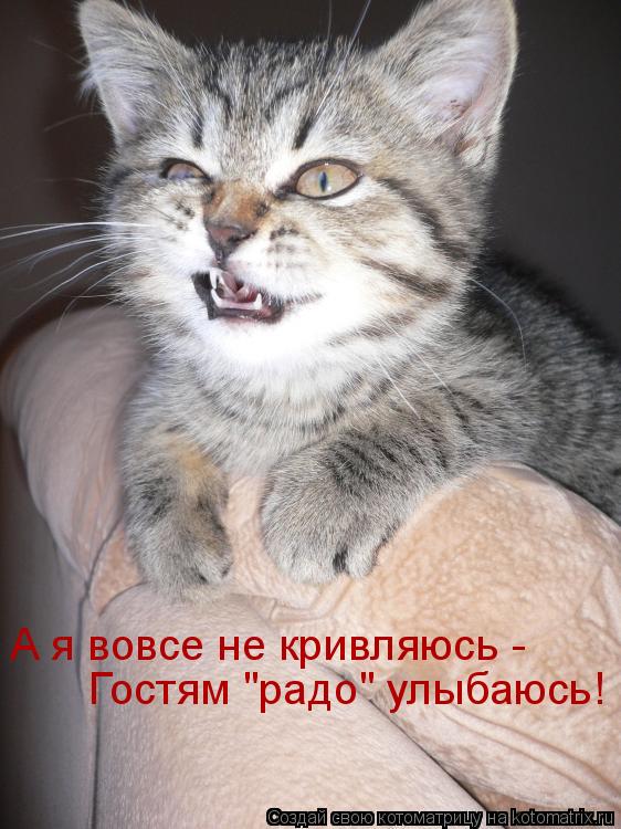 А я вовсе не кривляюсь - Гостям "радо" улыбаюсь!... Котоматрица: А я вовсе не кривляюсь - Гостям "радо" улыбаюсь!