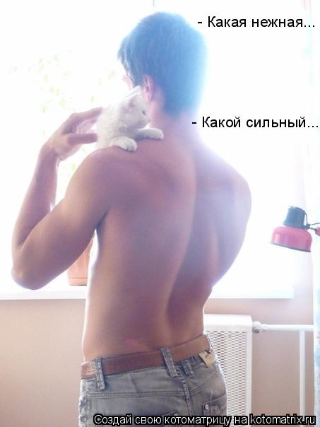 - Какая нежная... - Какой сильный...... Котоматрица: - Какая нежная... - Какой сильный...