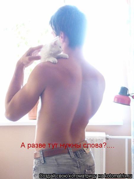 А разве тут нужны слова?....... Котоматрица: А разве тут нужны слова?....