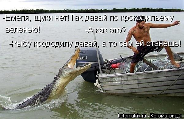 -Емеля, щуки нет!Так давай по крокодильему веленью! -А как это? -Рыбу крододилу давай, а то сам ей с... Котоматрица: -Емеля, щуки нет!Так давай по крокодильему веленью! -А как это? -Рыбу крододилу давай, а то сам ей станешь!