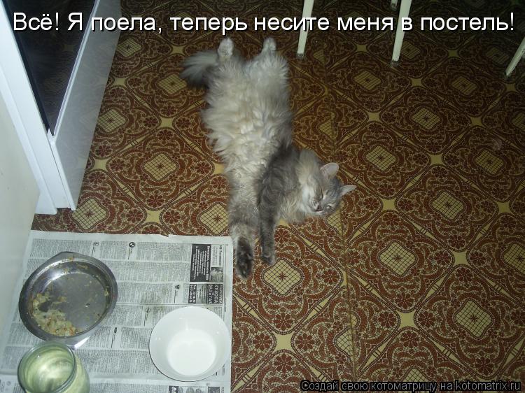 Всё! Я поела, теперь несите меня в постель!... Котоматрица: Всё! Я поела, теперь несите меня в постель!