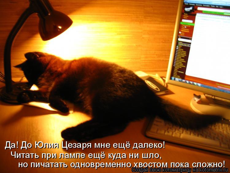 Да! До Юлия Цезаря мне ещё далеко! Читать при лампе ещё куда ни шло, но пичатать одновременно хвостом... Котоматрица: Да! До Юлия Цезаря мне ещё далеко! Читать при лампе ещё куда ни шло, но пичатать одновременно хвостом пока сложно!