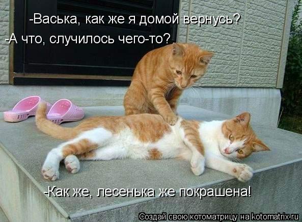 -Васька, как же я домой вернусь? -А что, случилось чего-то? -Как же, лесенька же покрашена!... Котоматрица: -Васька, как же я домой вернусь? -А что, случилось чего-то? -Как же, лесенька же покрашена!