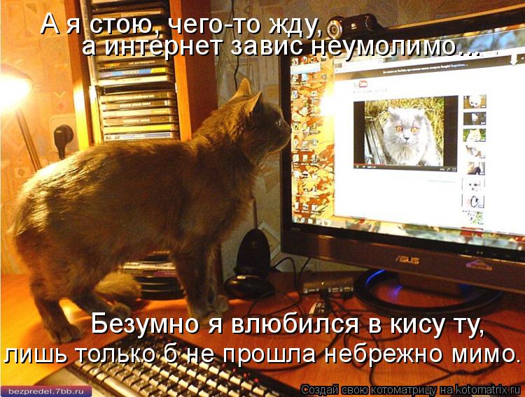 А я стою, чего-то жду, а интернет завис неумолимо... Безумно я влюбился в кису ту, лишь только б не... Котоматрица: А я стою, чего-то жду, а интернет завис неумолимо... Безумно я влюбился в кису ту, лишь только б не прошла небрежно мимо...