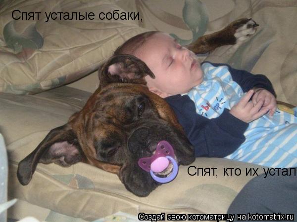 Спят усталые собаки, Спят, кто их устал... Котоматрица: Спят усталые собаки, Спят, кто их устал