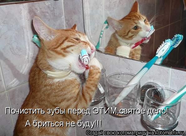 Почистить зубы перед ЭТИМ,святое дело! А бриться не буду!!!... Котоматрица: Почистить зубы перед ЭТИМ,святое дело! А бриться не буду!!!