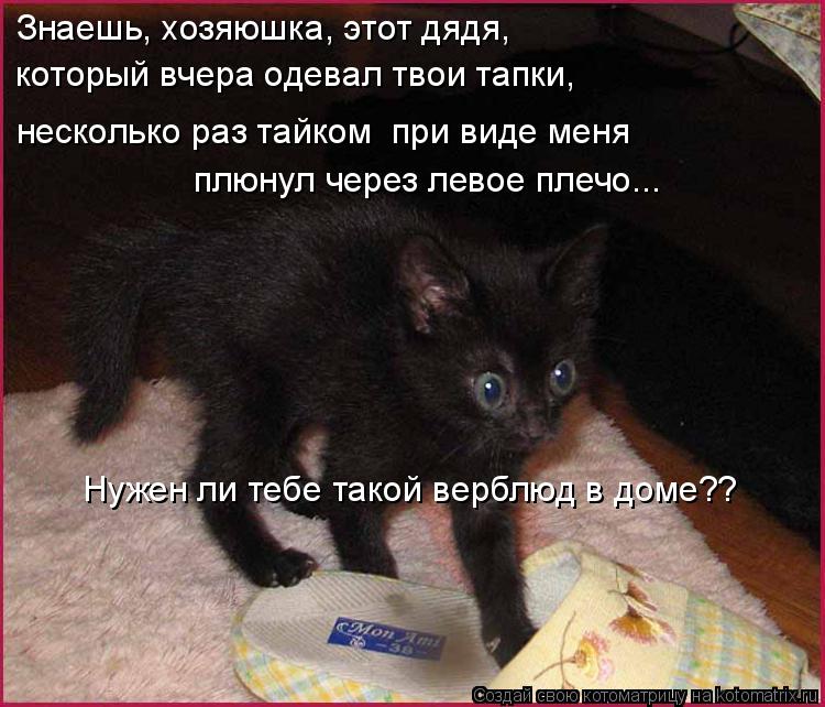 Знаешь, хозяюшка, этот дядя, который вчера одевал твои тапки, несколько раз тайком при виде меня п... Котоматрица: Знаешь, хозяюшка, этот дядя, который вчера одевал твои тапки, несколько раз тайком при виде меня плюнул через левое плечо... Нужен ли тебе т