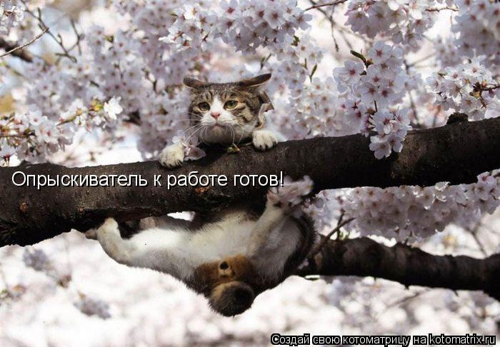 Опрыскиватель к работе готов!... Котоматрица: Опрыскиватель к работе готов!