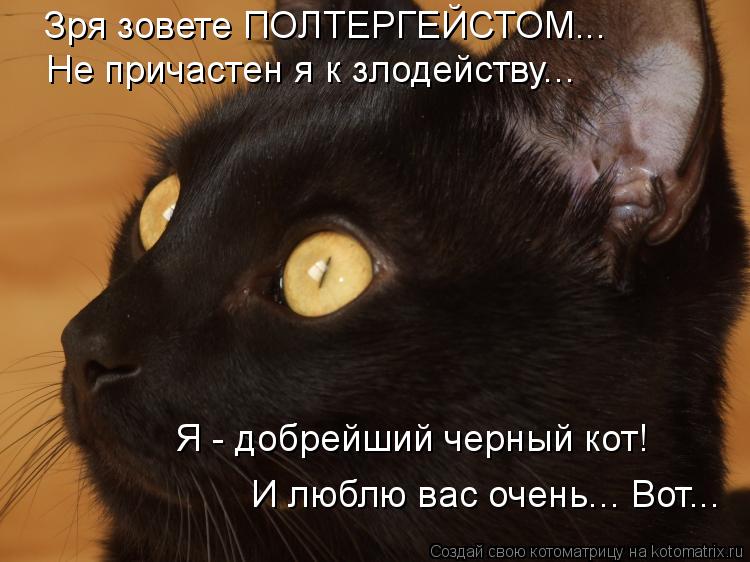Котоматрица: Зря зовете ПОЛТЕРГЕЙСТОМ... Не причастен я к злодейству... Я - добрейший черный кот!  И люблю вас очень... Вот...