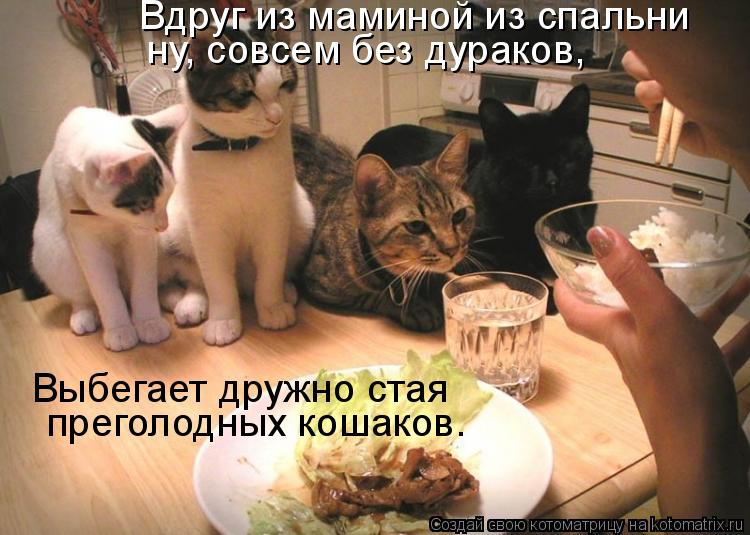 Выбегает дружно стая преголодных кошаков. ну, совсем без дураков, Вдруг из маминой из спальни... Котоматрица: Выбегает дружно стая преголодных кошаков. ну, совсем без дураков, Вдруг из маминой из спальни
