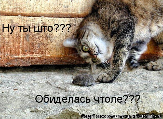 Ну ты што??? Обиделась чтоле???... Котоматрица: Ну ты што??? Обиделась чтоле???