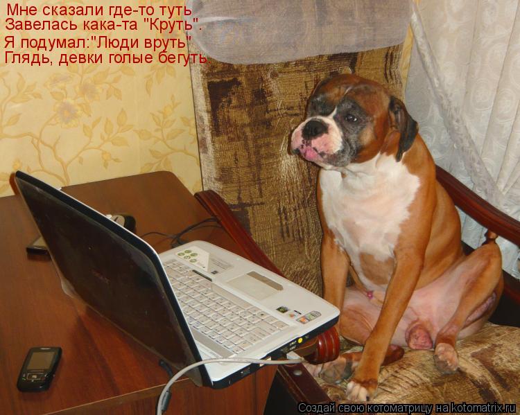 Мне сказали где-то туть Завелась кака-та "Круть". Я подумал:"Люди вруть" Глядь, девки голые бегуть.... Котоматрица: Мне сказали где-то туть Завелась кака-та "Круть". Я подумал:"Люди вруть" Глядь, девки голые бегуть.