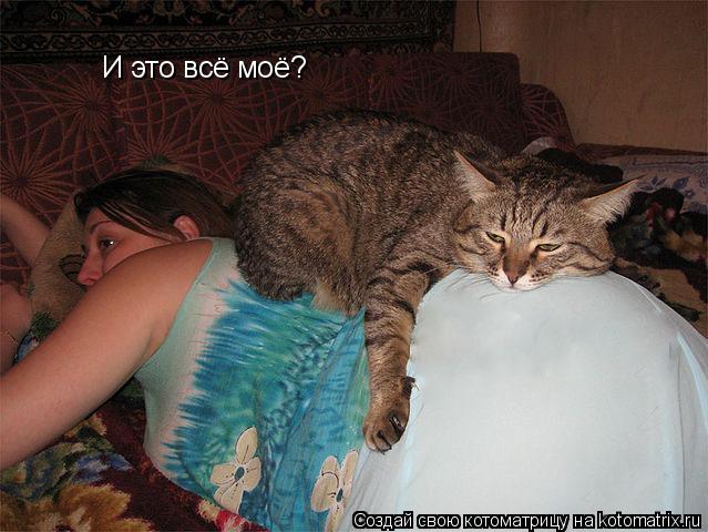 И это всё моё?... Котоматрица: И это всё моё?