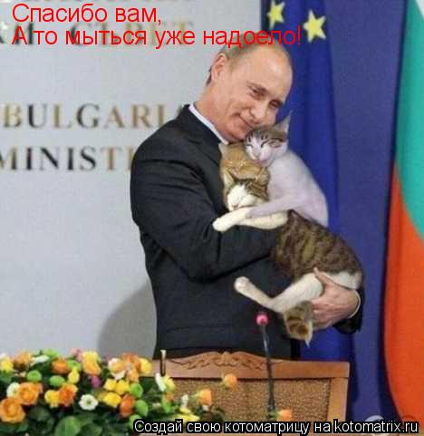 Спасибо вам, А то мыться уже надоело!... Котоматрица: Спасибо вам, А то мыться уже надоело!