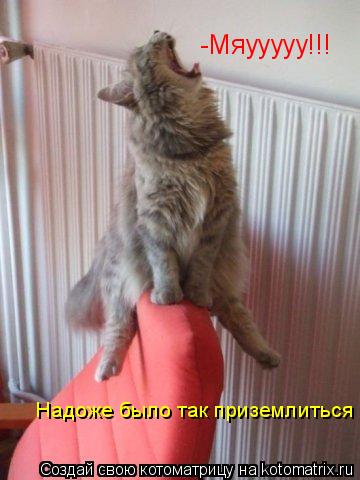Котоматрица: -Мяууууу!!! Надоже было так приземлиться