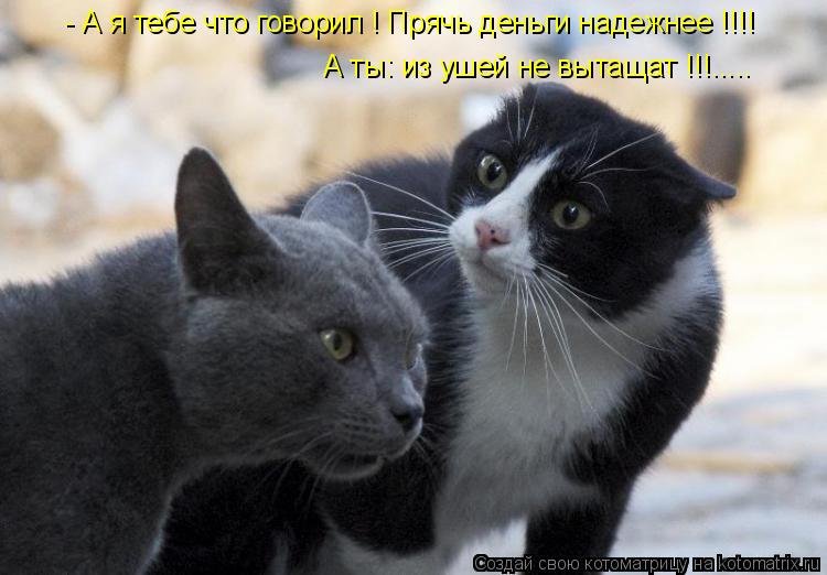 Котоматрица: - А я тебе что говорил ! Прячь деньги надежнее !!!! А ты: из ушей не вытащат !!!.....