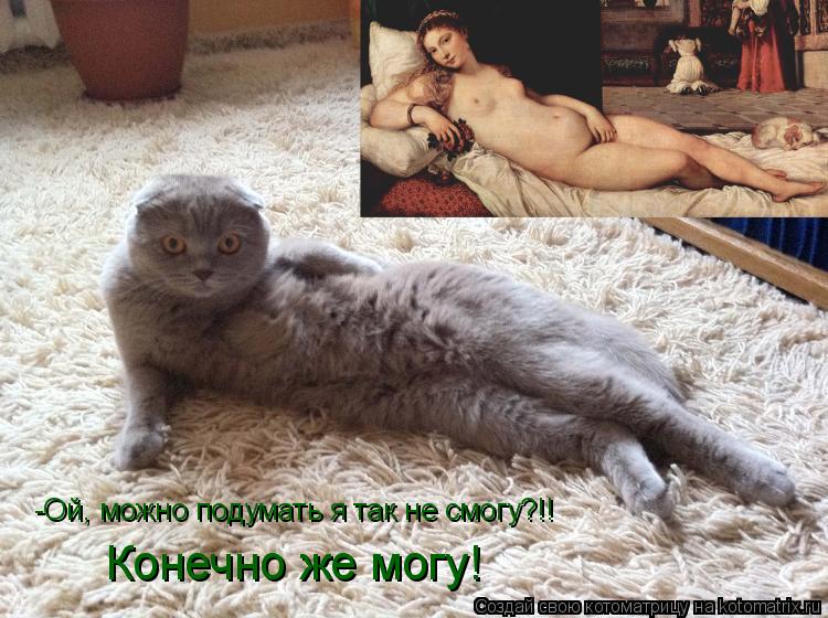 Котоматрица: -Ой, можно подумать я так не смогу?!! Конечно же могу!