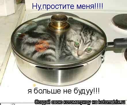 Котоматрица: Ну,простите меня!!!! я больше не будуу!!!