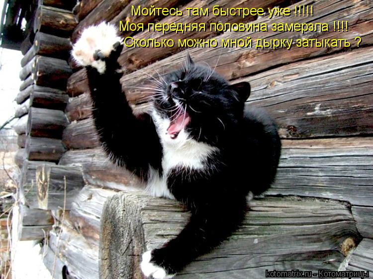 Котоматрица: Мойтесь там быстрее уже !!!!! Моя передняя половина замерзла !!!! Сколько можно мной дырку затыкать ?