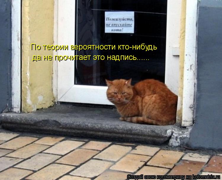 Котоматрица: По теории вероятности кто-нибудь да не прочитает это надпись......