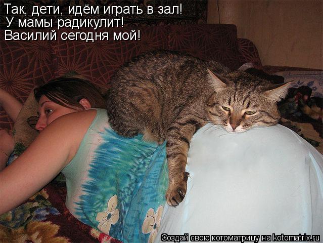 Котоматрица: Так, дети, идём играть в зал! У мамы радикулит! Василий сегодня мой!