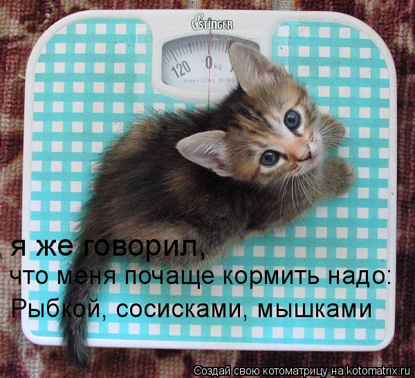 Котоматрица: я же говорил,  что меня почаще кормить надо: Рыбкой, сосисками, мышками