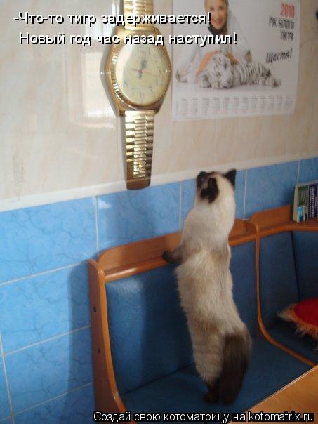 Котоматрица: -Что-то тигр задерживается!  Новый год час назад наступил!