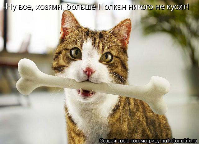 Котоматрица: -Ну все, хозяин, больше Полкан никого не кусит!