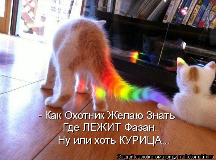 - Как Охотник Желаю Знать Где ЛЕЖИТ Фазан. Ну или хоть КУРИЦА...... Котоматрица: - Как Охотник Желаю Знать Где ЛЕЖИТ Фазан. Ну или хоть КУРИЦА...