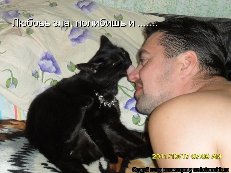 Котоматрица: Любовь зла, полибишь и .......