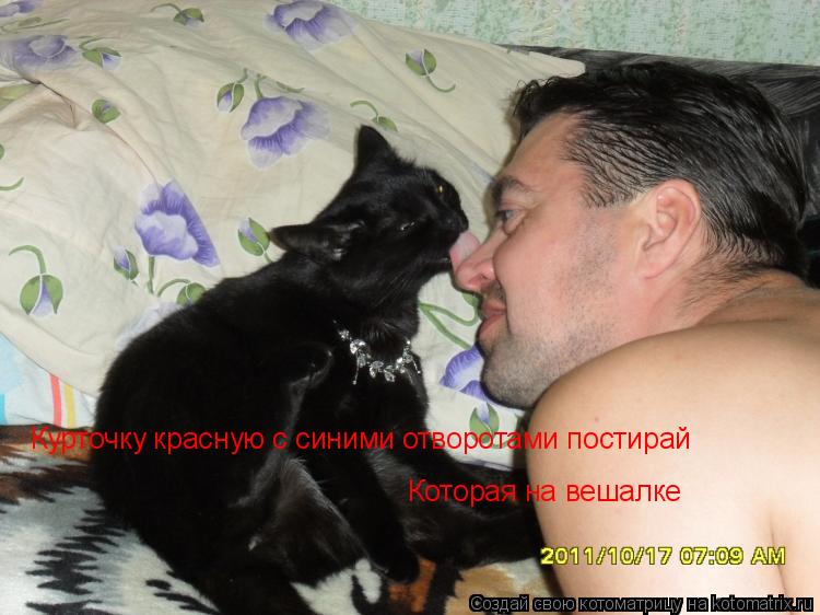 Котоматрица: Курточку красную с синими отворотами постирай Которая на вешалке