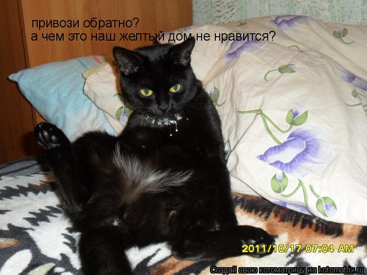 Котоматрица: привози обратно? а чем это наш желтый дом не нравится?