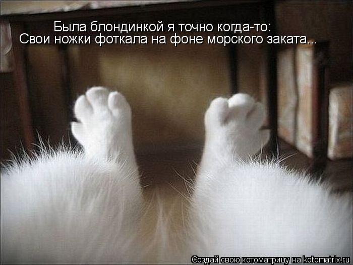 Котоматрица: Была блондинкой я точно когда-то: Свои ножки фоткала на фоне морского заката...