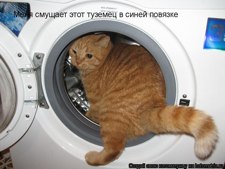 Меня смущает этот туземец в синей повязке... Котоматрица: Меня смущает этот туземец в синей повязке