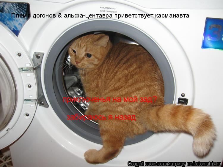 Племя догонов & альфа-центавра приветствует касманавта приключенья на мой зад? забираюсь я назад... Котоматрица: Племя догонов & альфа-центавра приветствует касманавта приключенья на мой зад? забираюсь я назад