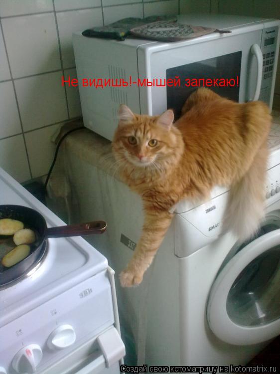 Не видишь!-мышей запекаю!... Котоматрица: Не видишь!-мышей запекаю!