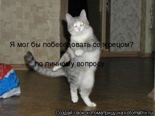 Я мог бы побеседовать со жрецом? по личному вопросу... Котоматрица: Я мог бы побеседовать со жрецом? по личному вопросу