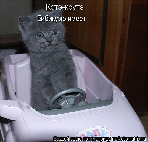 Котэ-крутэ Бибикузю имеет... Котоматрица: Котэ-крутэ Бибикузю имеет