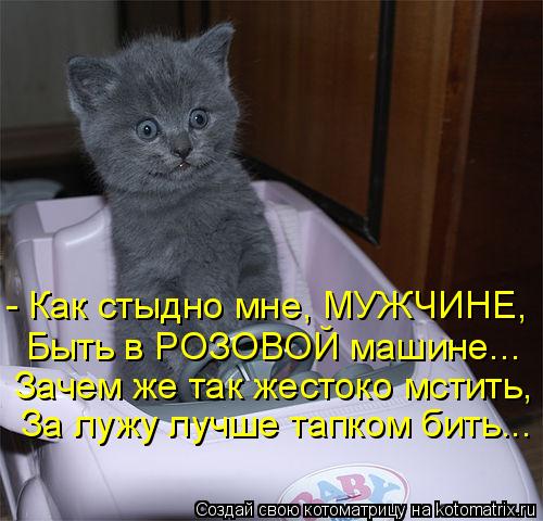 - Как стыдно мне, МУЖЧИНЕ, Быть в РОЗОВОЙ машине... Зачем же так жестоко мстить, За лужу лучше тапком... Котоматрица: - Как стыдно мне, МУЖЧИНЕ, Быть в РОЗОВОЙ машине... Зачем же так жестоко мстить, За лужу лучше тапком бить...