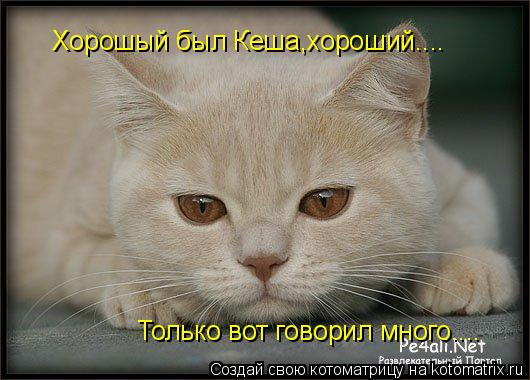 Хорошый был Кеша,хороший.... Только вот говорил много....... Котоматрица: Хорошый был Кеша,хороший.... Только вот говорил много....