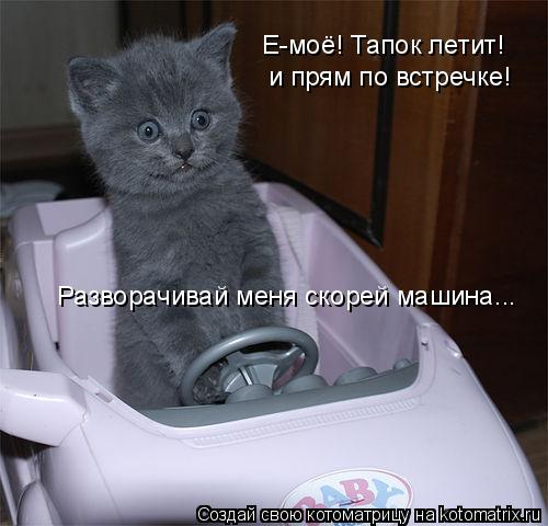 Е-моё! Тапок летит! и прям по встречке! Разворачивай меня скорей машина...... Котоматрица: Е-моё! Тапок летит! и прям по встречке! Разворачивай меня скорей машина...