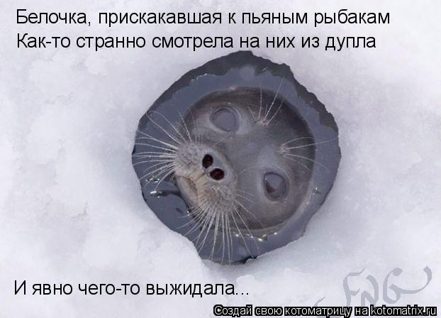 Белочка, прискакавшая к пьяным рыбакам Как-то странно смотрела на них из дупла И явно чего-то выжида... Котоматрица: Белочка, прискакавшая к пьяным рыбакам Как-то странно смотрела на них из дупла И явно чего-то выжидала...