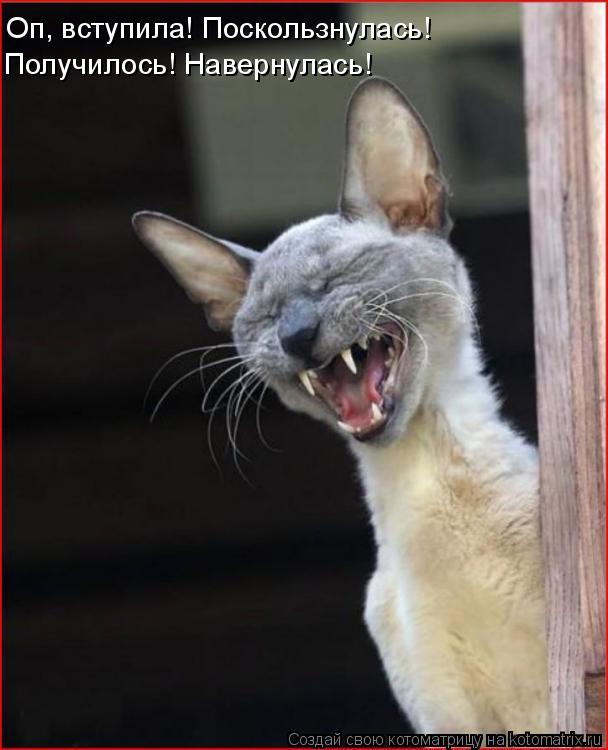 Получилось! Навернулась! Оп, вступила! Поскользнулась!... Котоматрица: Получилось! Навернулась! Оп, вступила! Поскользнулась!