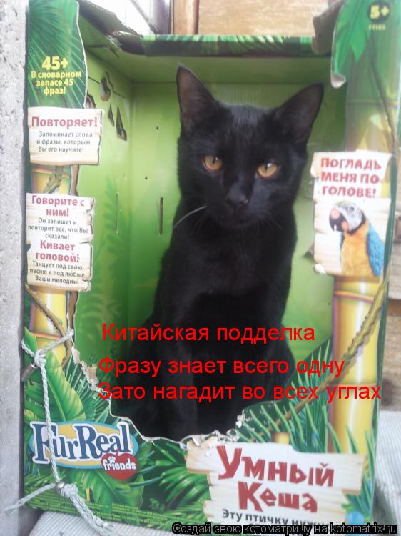 Котоматрица: Китайская подделка Зато нагадит во всех углах Фразу знает всего одну